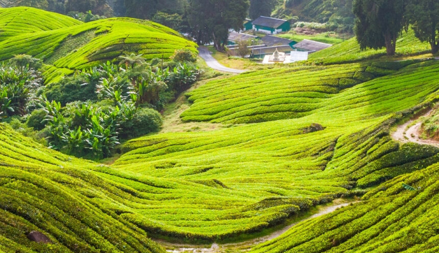 Destination: Full Relaxation Destination: Full Relaxation