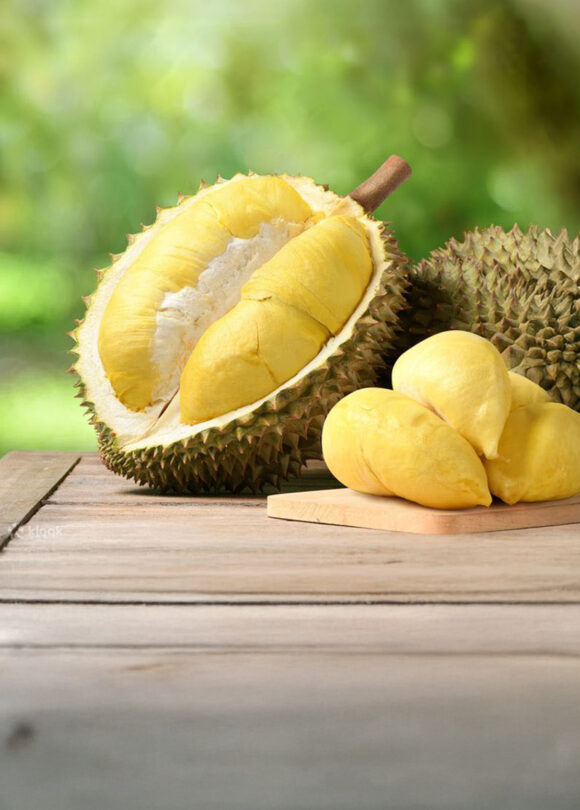 1 Day Yong Peng Durian Trip – 2025.07.06