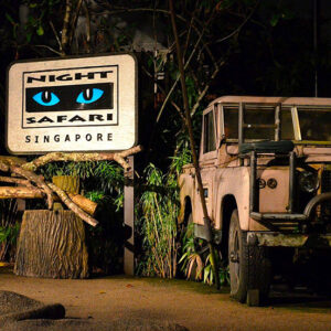 Night Safari