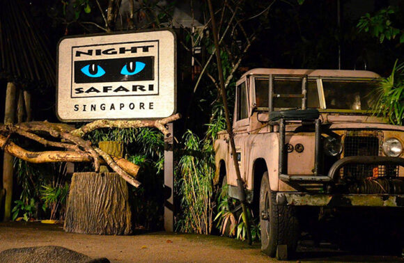 Night Safari