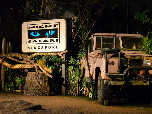 Night Safari